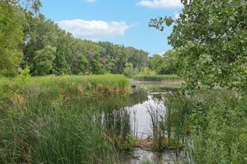 A short walk to labelle park